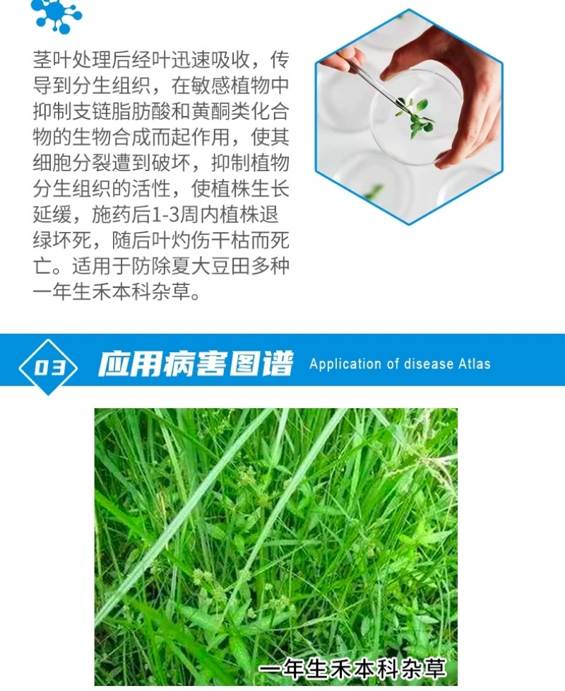 云帆耕进35%烯草酮大豆田一年生禾本科杂草烯草胴农药除草