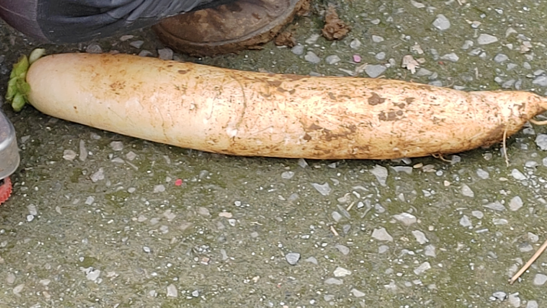 地萝卜沙拉制作场景