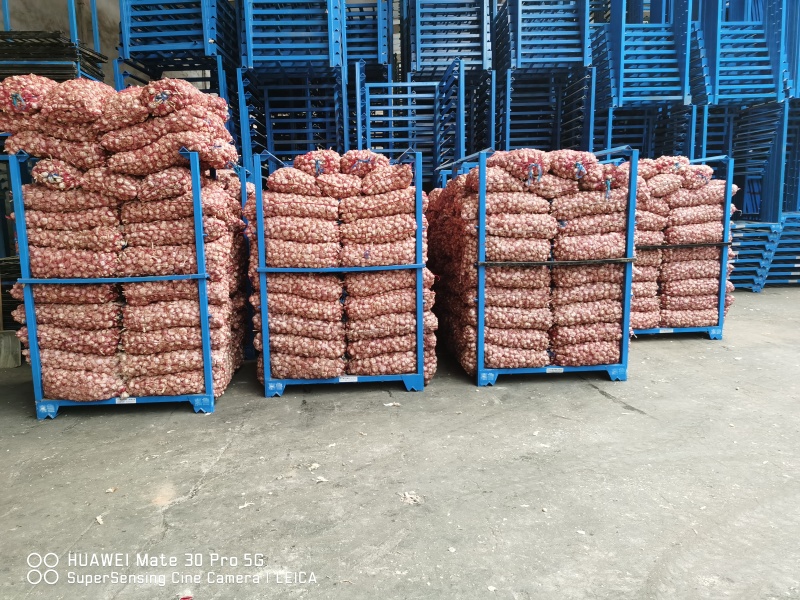 供应蒜米料，全年为各地蒜米厂发货，保证质量日发货百吨以上