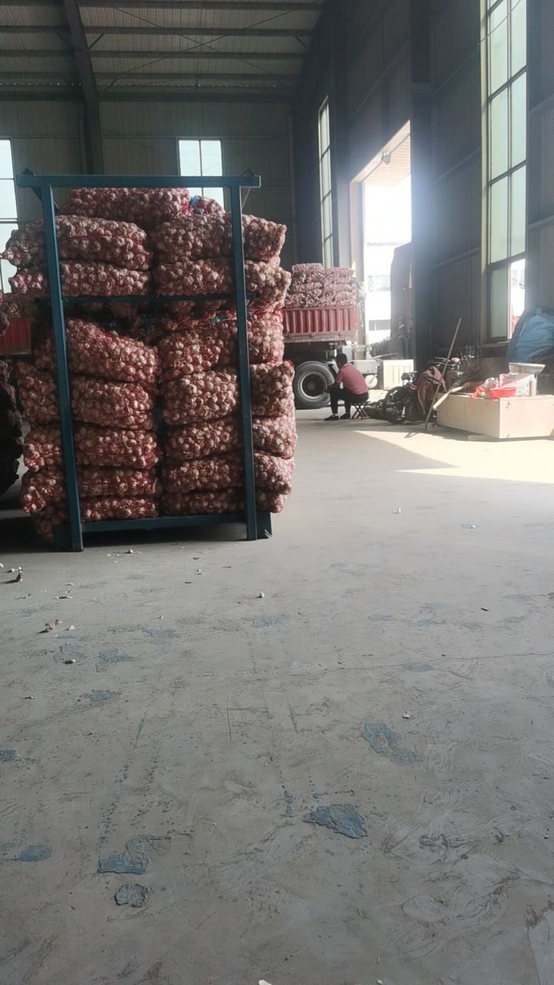 供应蒜米料，全年为各地蒜米厂发货，保证质量日发货百吨以上