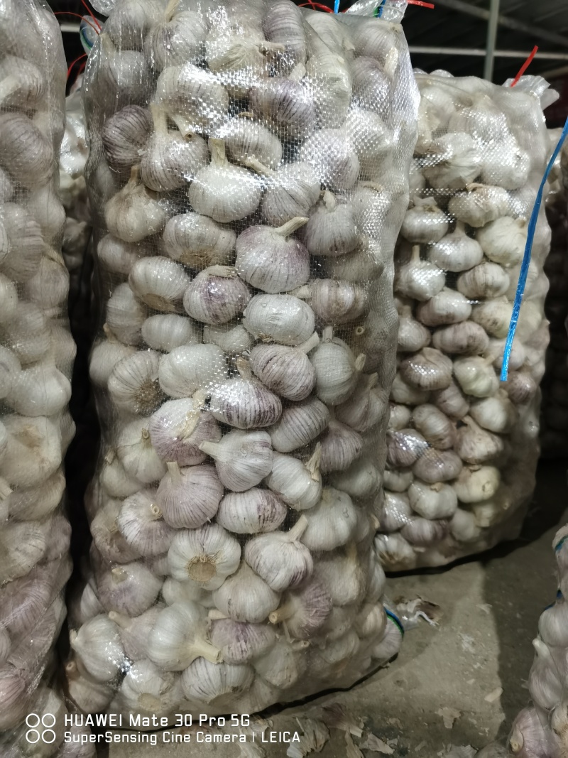 红蒜代收代存，冷库出租，实力配资，欢迎新老客户前实地考察
