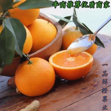 广西精品夏橙果肉细腻水分充足产地直供价格从优品质好