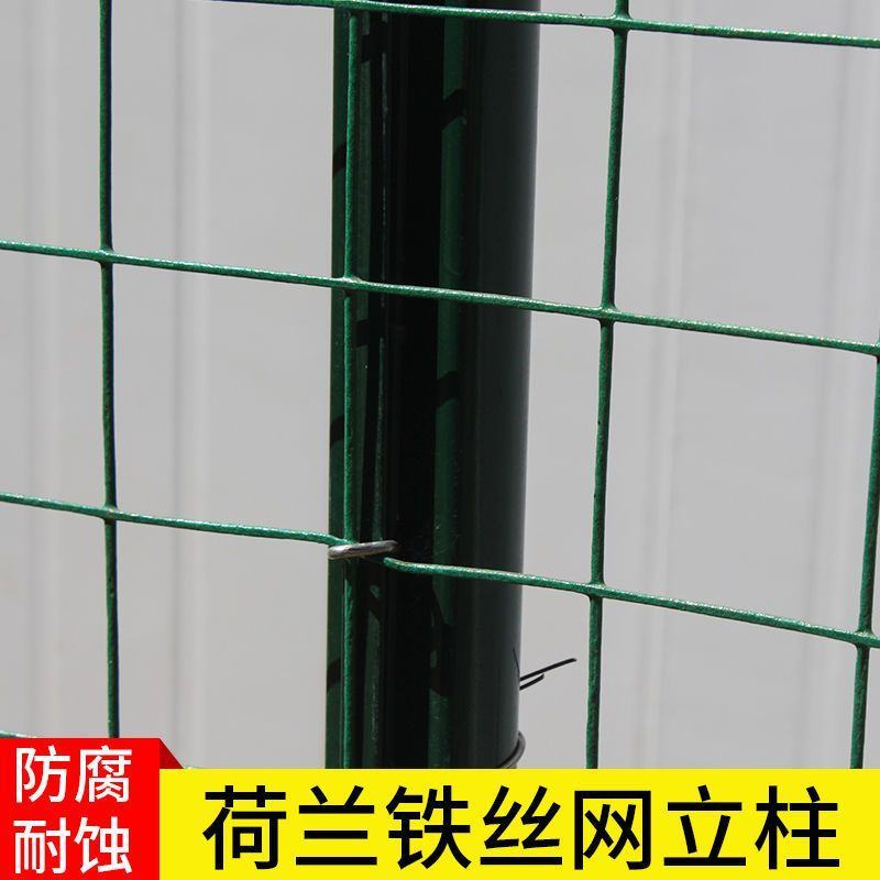 荷兰网立柱铁丝网栏杆杆子燕尾柱刺绳立柱铁立杆支架支撑车间