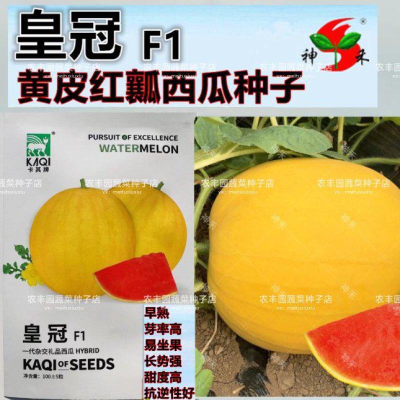 卡其皇冠西瓜种子黄皮红瓤礼品西瓜种子早熟高甜脆爽多汁西瓜