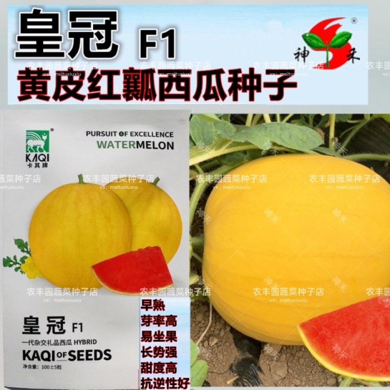 卡其皇冠西瓜种子黄皮红瓤礼品西瓜种子早熟高甜脆爽多汁西瓜