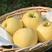 黄金维纳斯苹果，套的纸袋，果面光洁美观有机肥种植口感超好