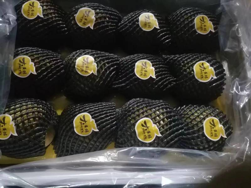 黄金维纳斯苹果，套的纸袋，果面光洁美观有机肥种植口感超好