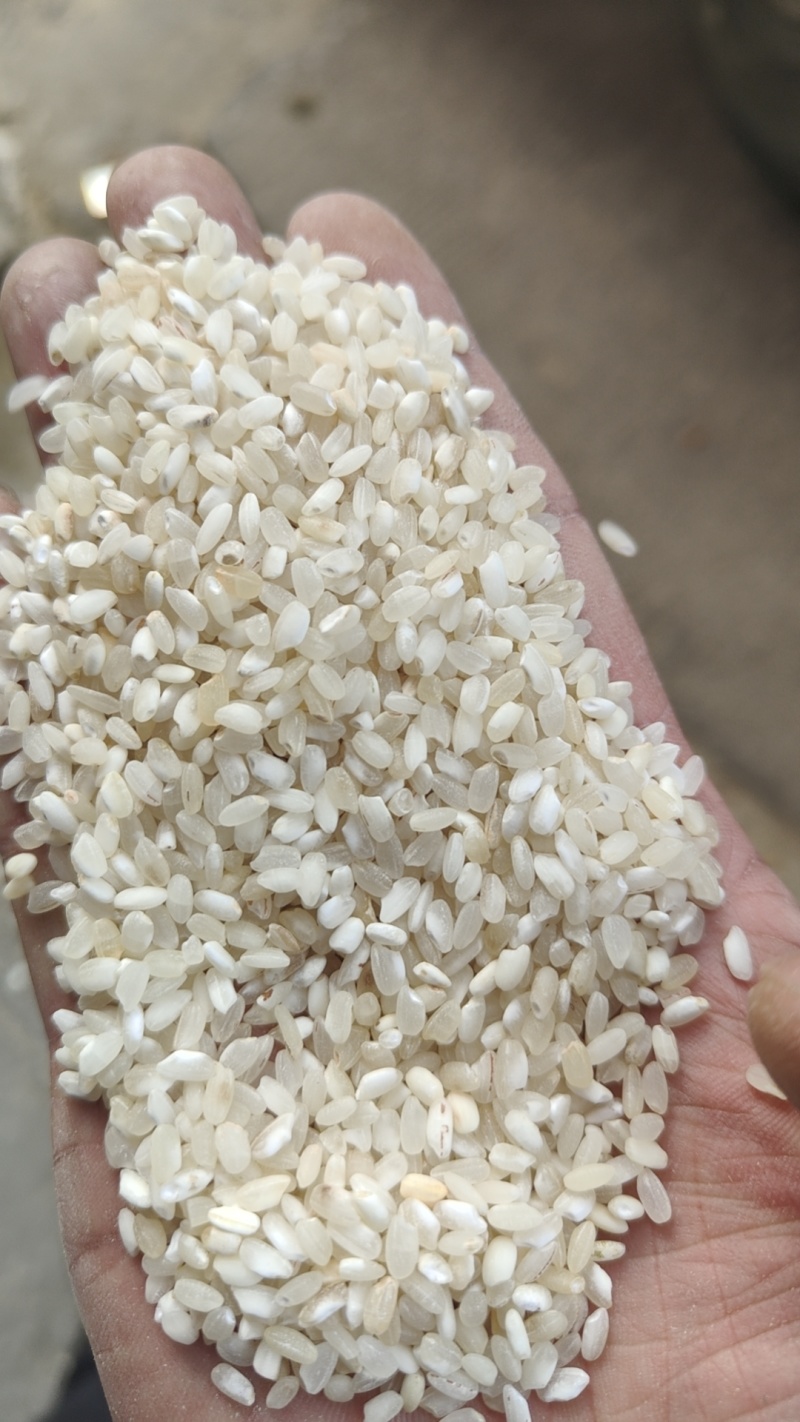 黄米、碎米、米糠，大量现货，低价出