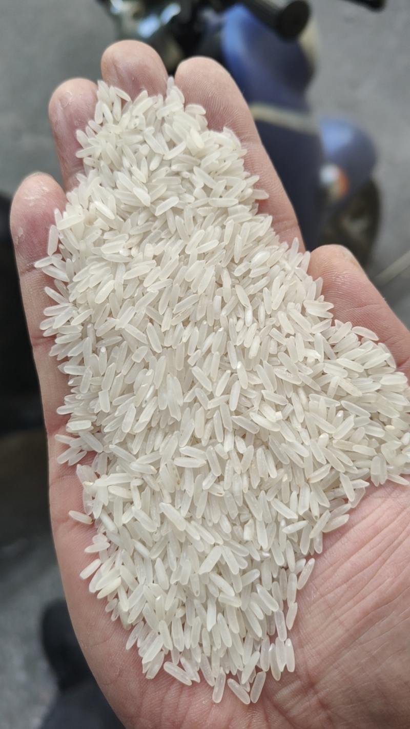 黄米、碎米、米糠，大量现货，低价出