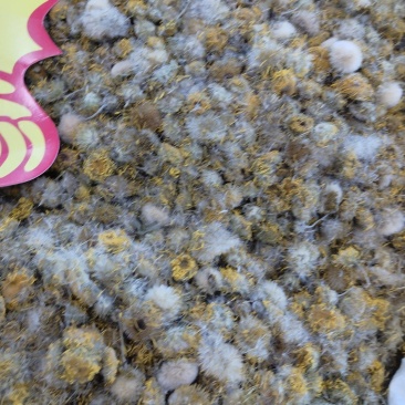 旋覆花，各种规格旋覆花，产地直销，大货供应，物美价廉