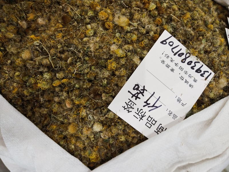 旋覆花，各种规格旋覆花，产地直销，大货供应，物美价廉