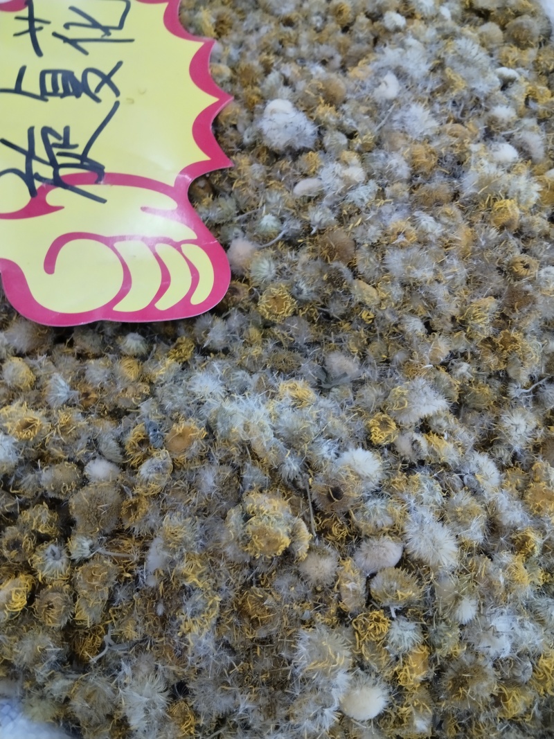 旋覆花，各种规格旋覆花，产地直销，大货供应，物美价廉