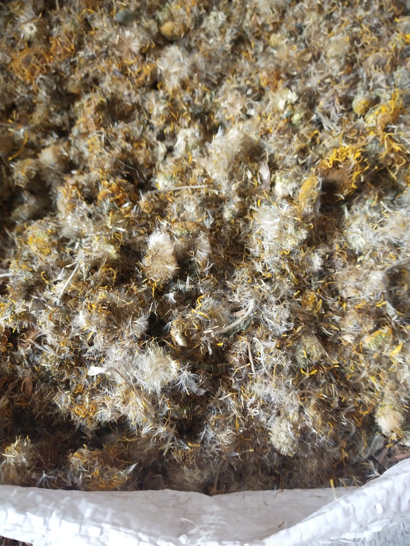 旋覆花，各种规格旋覆花，产地直销，大货供应，物美价廉