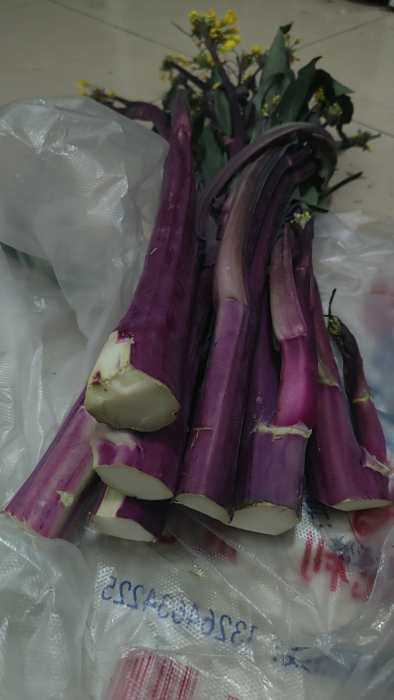 洪山菜薹