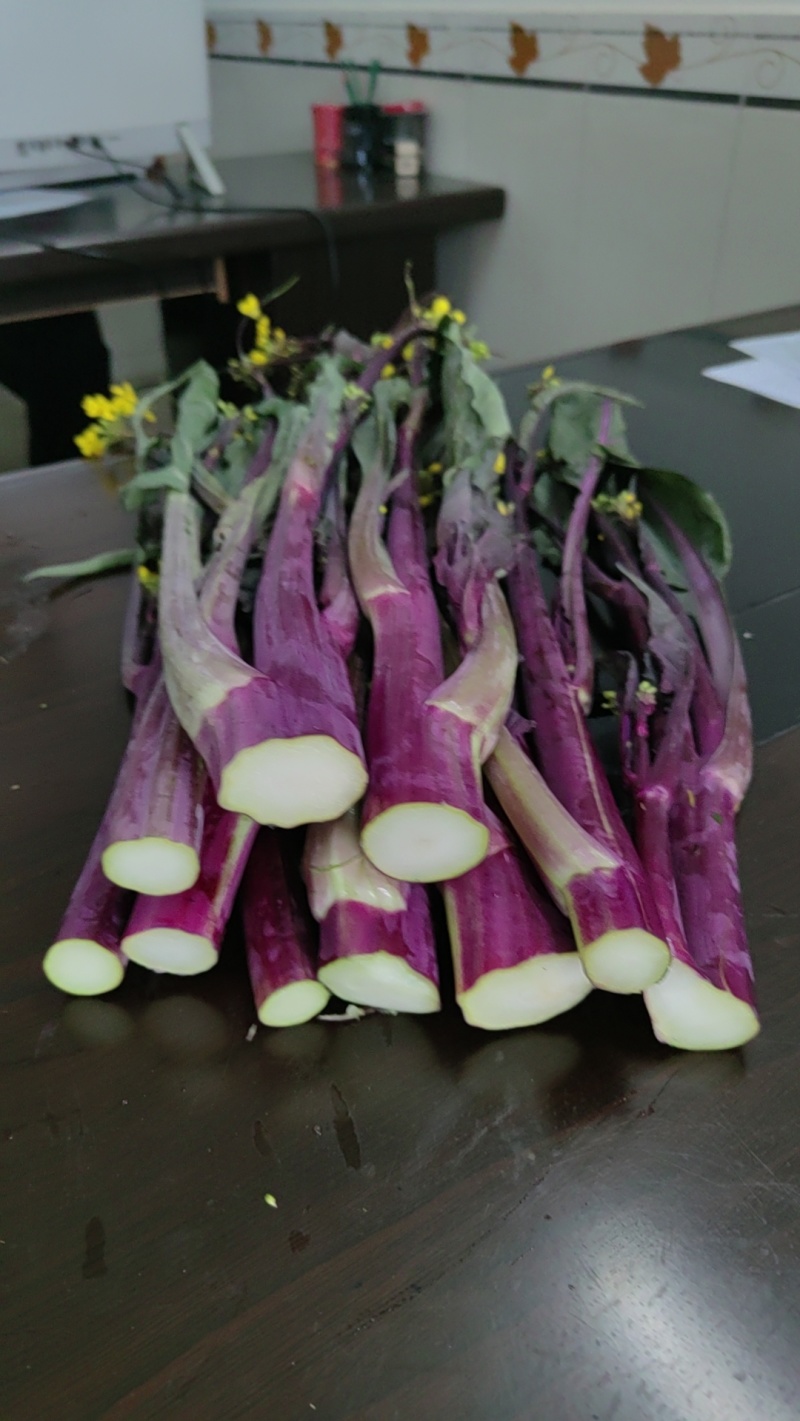 洪山菜薹