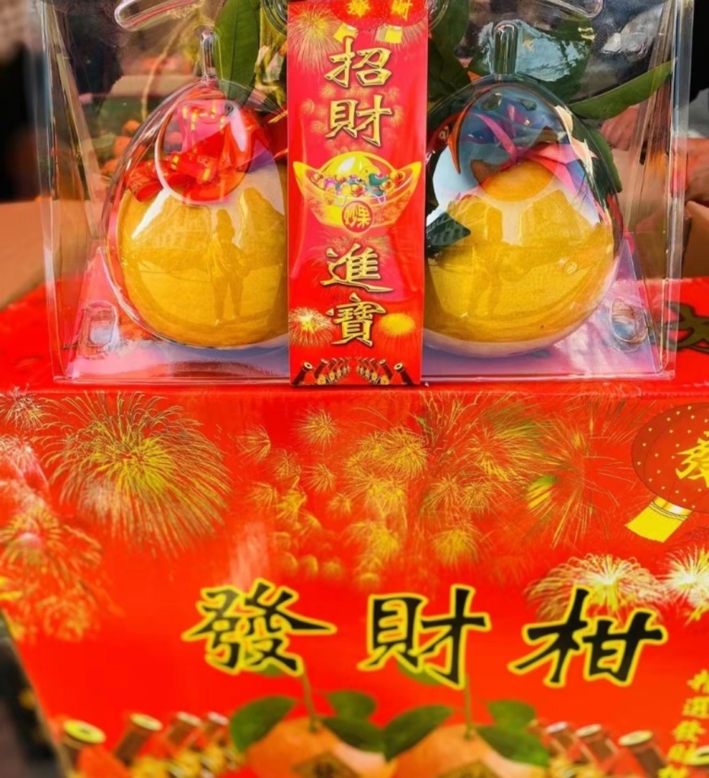 福建省漳州市发财柑【橘红】开始大量上市