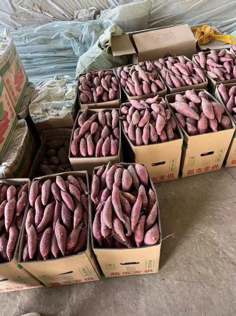 红薯
