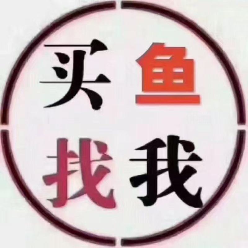 查干湖冬捕大胖头，出水打包邮寄，保证新鲜，味道鲜美，营养