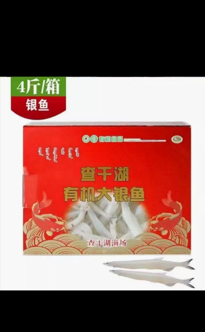 查干湖冬捕大胖头，出水打包邮寄，保证新鲜，味道鲜美，营养