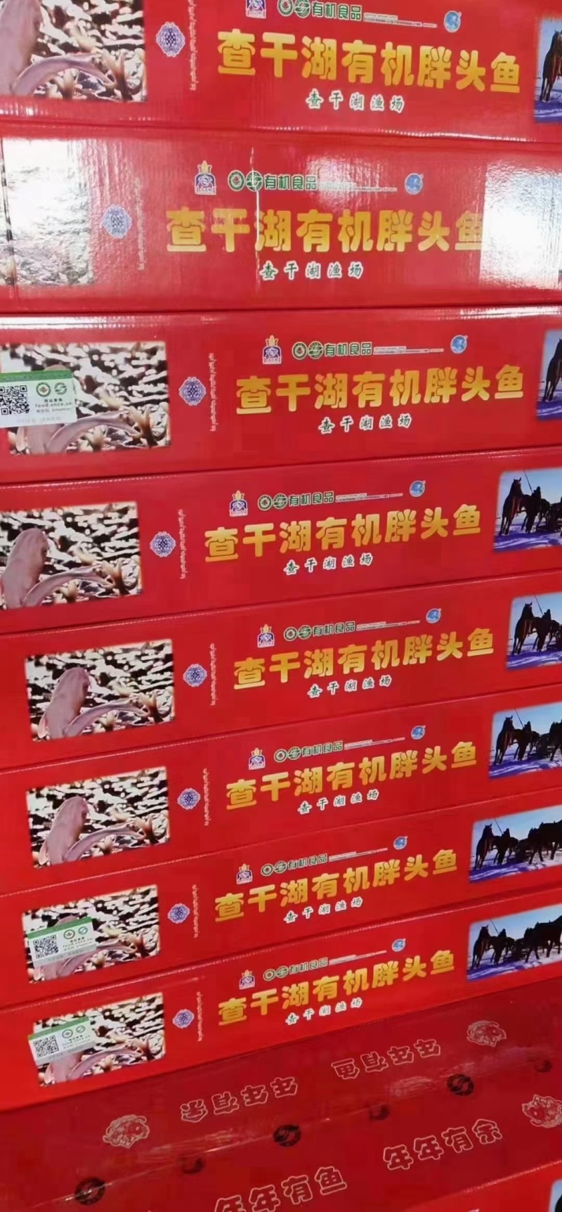 查干湖冬捕大胖头，出水打包邮寄，保证新鲜，味道鲜美，营养