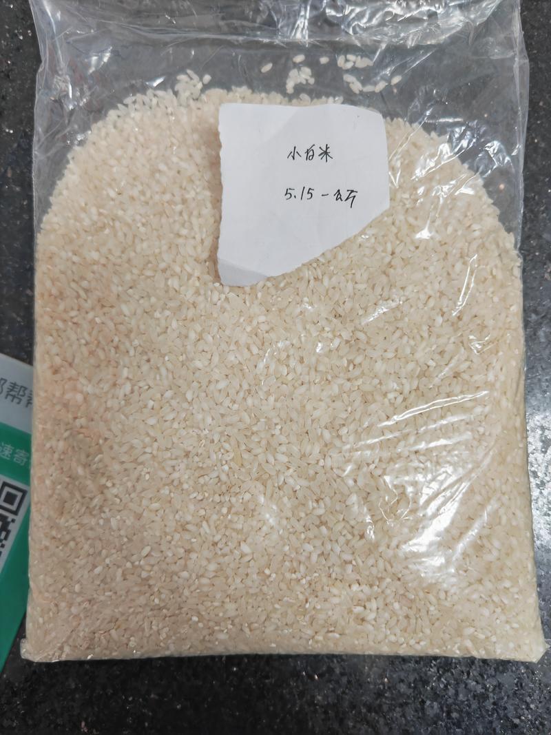 今天大米价格优惠，缅甸社卡大米，品种多样，