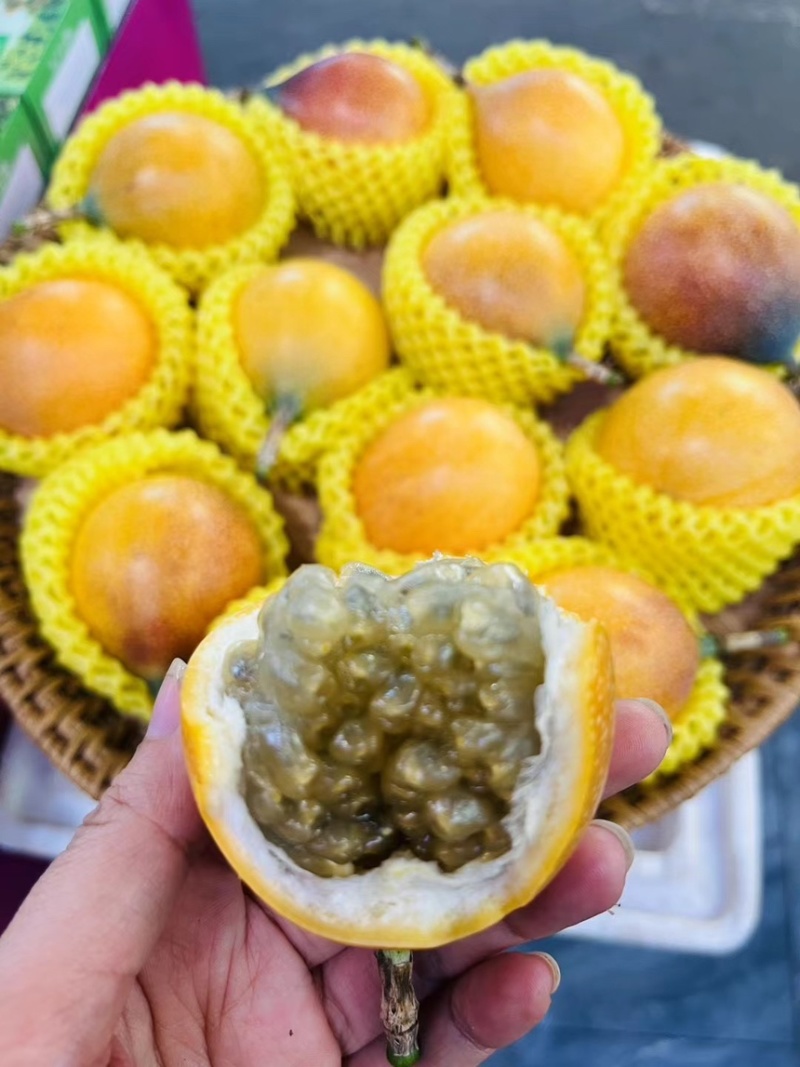 哥伦比亚热情果