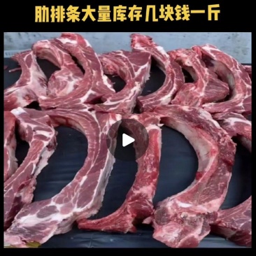 肋排条8一斤大量库存支持电商团购做分包装量大从优
