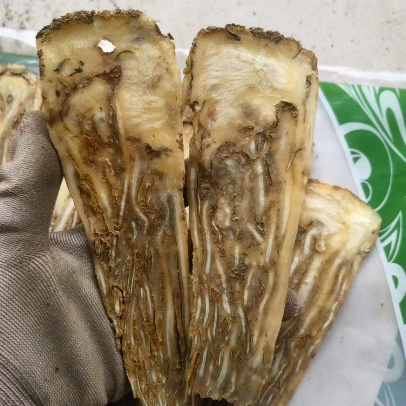 当归甘肃佛手中心片当归选品质保证