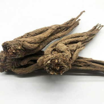 当归个子新货新店开业产地直销规格齐全