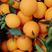伦晚橙子，果肉细腻多汁，产地一手货源现采现摘全国发货