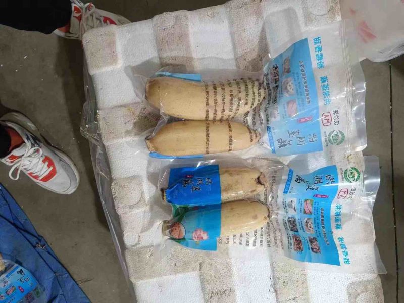 工厂直供湖北精品真空藕货源充足可持续供货欢迎咨询