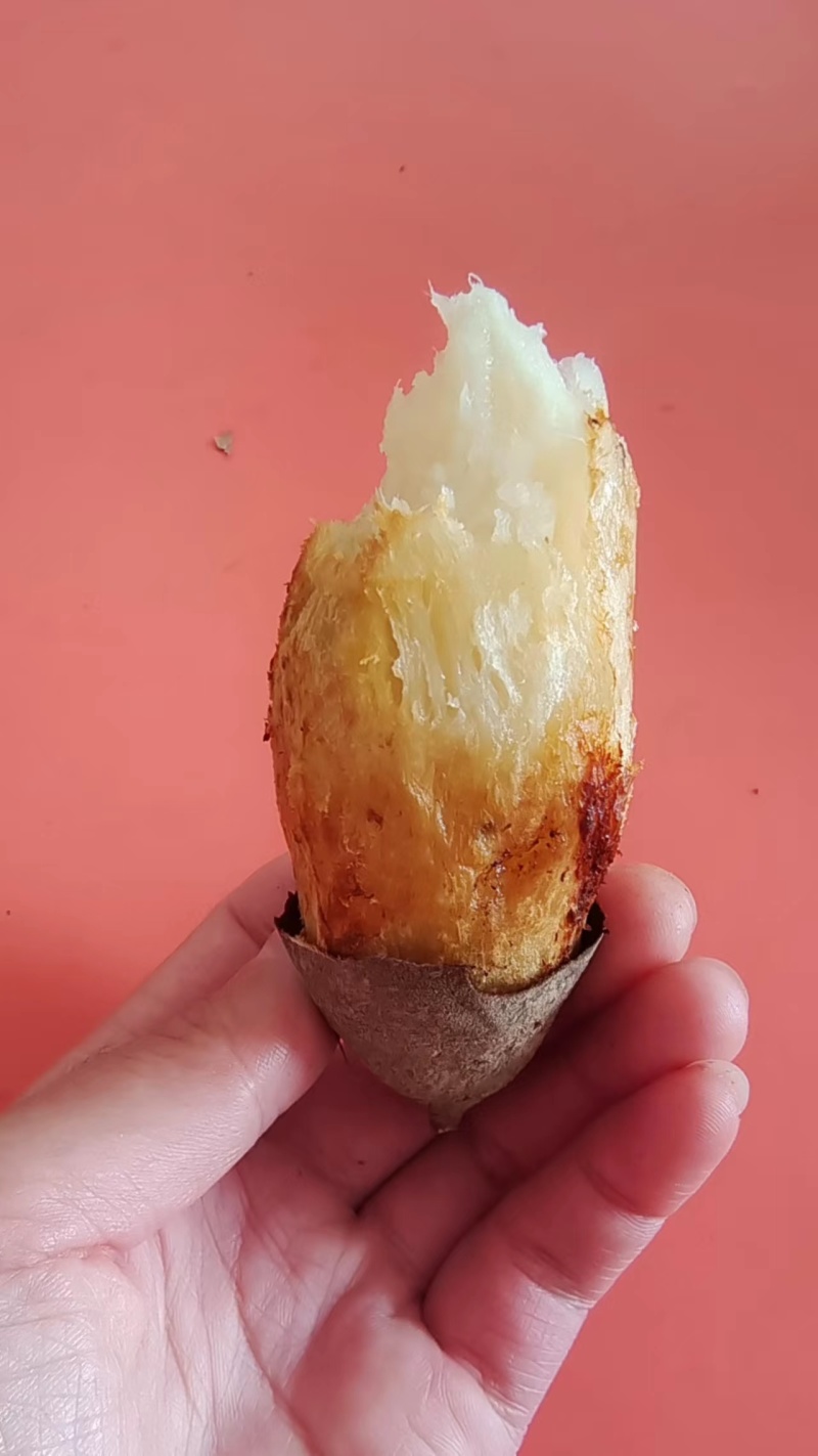 河南精品红薯苗，品种齐全，规格多样，量大从优欢迎来电