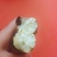 河南精品红薯苗，品种齐全，规格多样，量大从优欢迎来电
