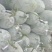 河南精品白皮冬瓜，产地一手货源，新鲜保质量大从优欢迎选购