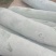 河南精品白皮冬瓜，产地一手货源，新鲜保质量大从优欢迎选购