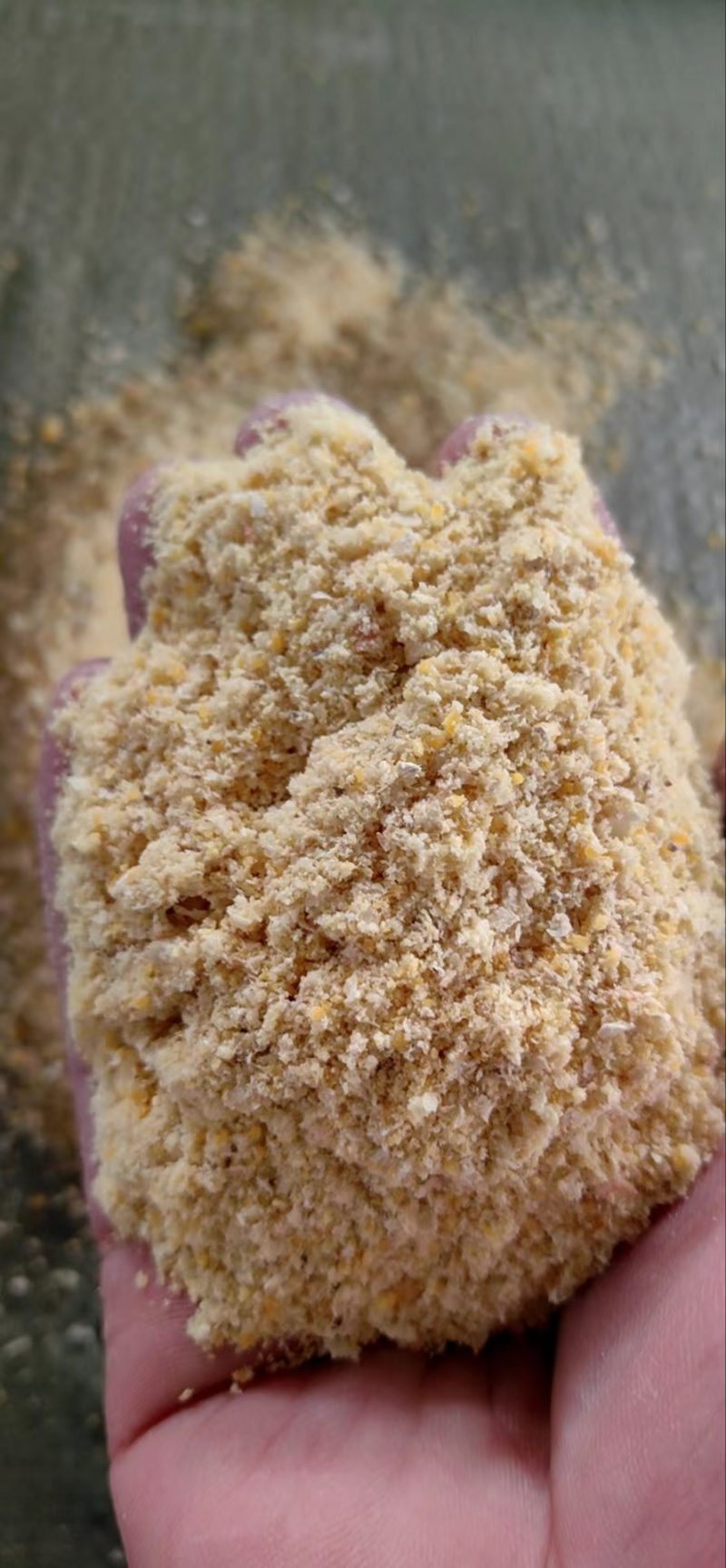 玉米粉，喂牛羊猪好饲料，价格低
