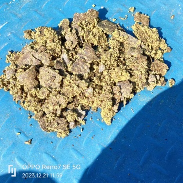 棉籽饼蛋白高脂肪高价格便宜。牛羊赠膘好饲料