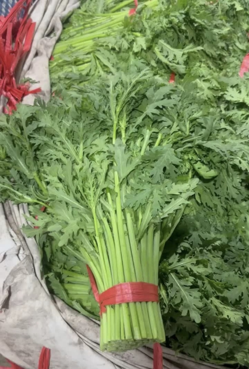 江苏淮安茼蒿蒿子秆小叶茼蒿货源充足供全国商超