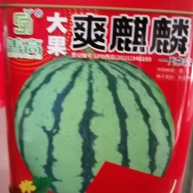 麒麒，长瓜大西瓜都有，大果红瓤皮薄不裂。产量高抗病毒。