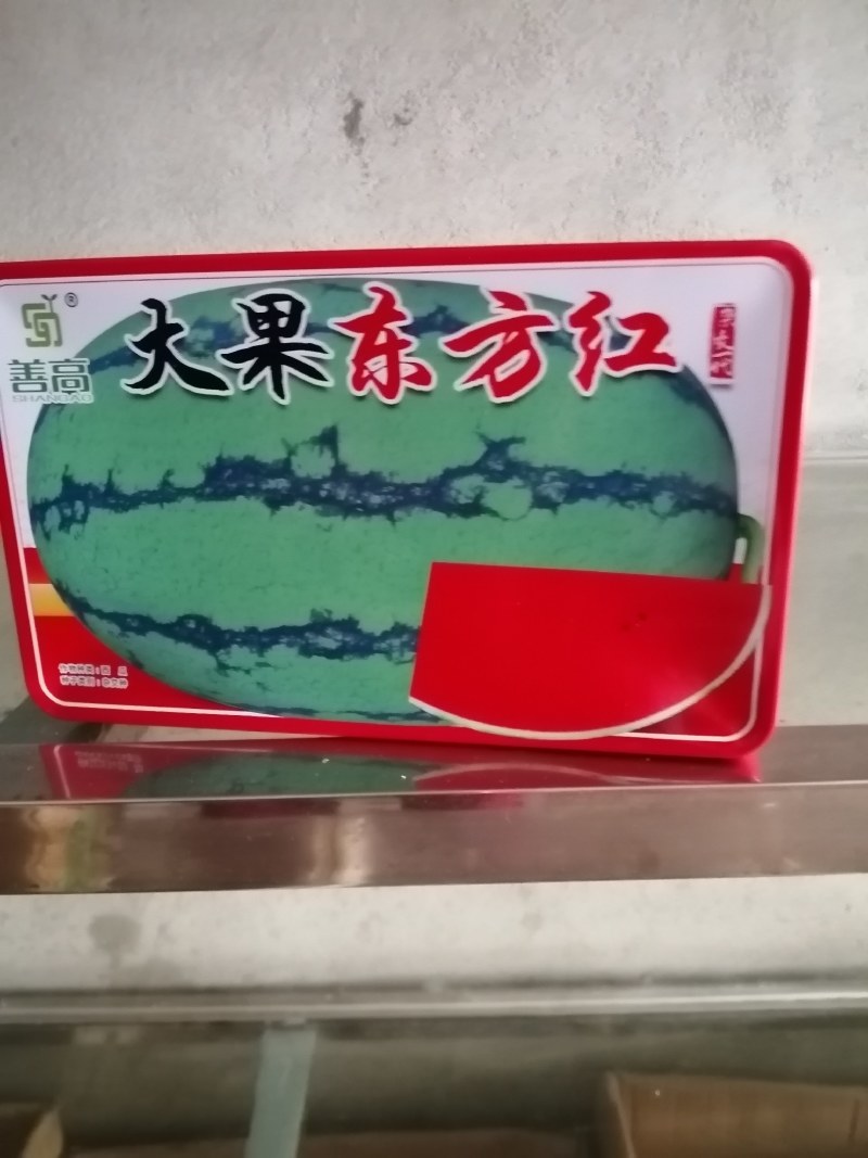 麒麒，长瓜大西瓜都有，大果红瓤皮薄不裂。产量高抗病毒。