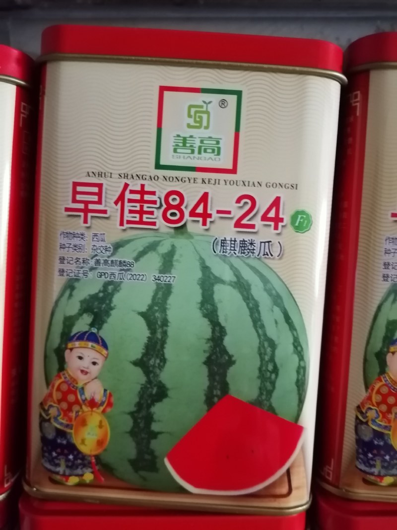 麒麒，长瓜大西瓜都有，大果红瓤皮薄不裂。产量高抗病毒。