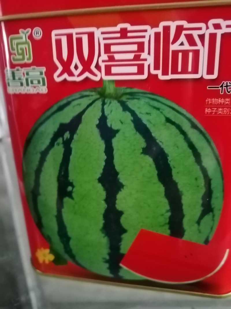 麒麒，长瓜大西瓜都有，大果红瓤皮薄不裂。产量高抗病毒。
