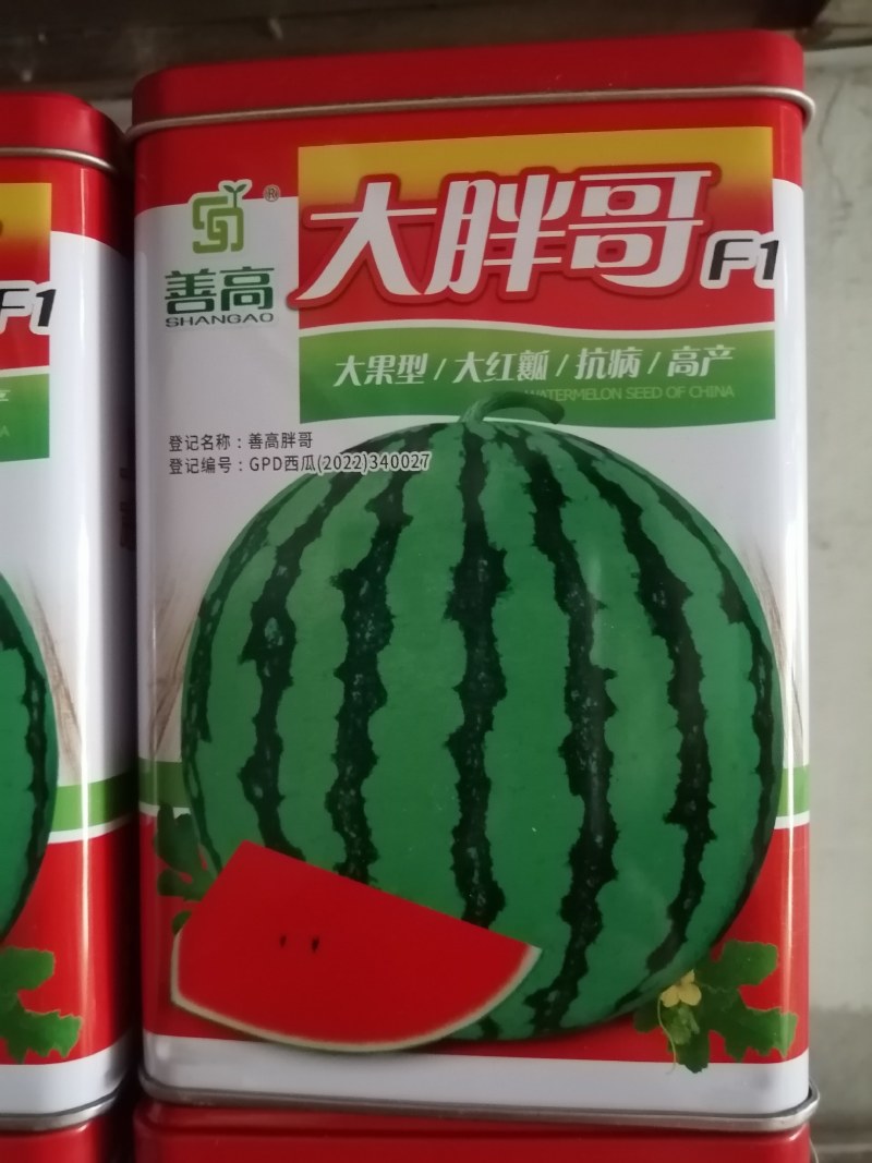 麒麒，长瓜大西瓜都有，大果红瓤皮薄不裂。产量高抗病毒。