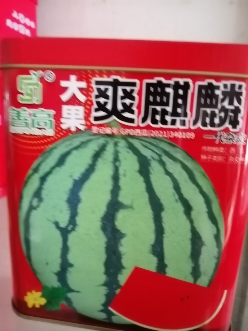 麒麒，长瓜大西瓜都有，大果红瓤皮薄不裂。产量高抗病毒。