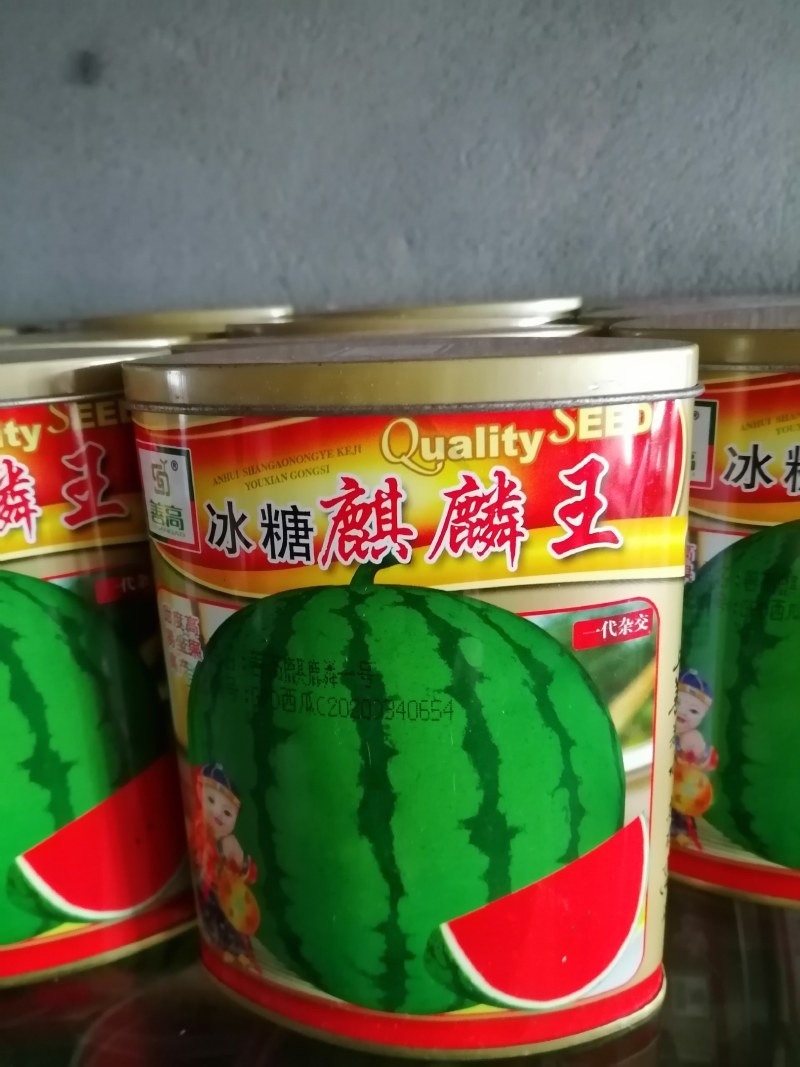麒麒，长瓜大西瓜都有，大果红瓤皮薄不裂。产量高抗病毒。