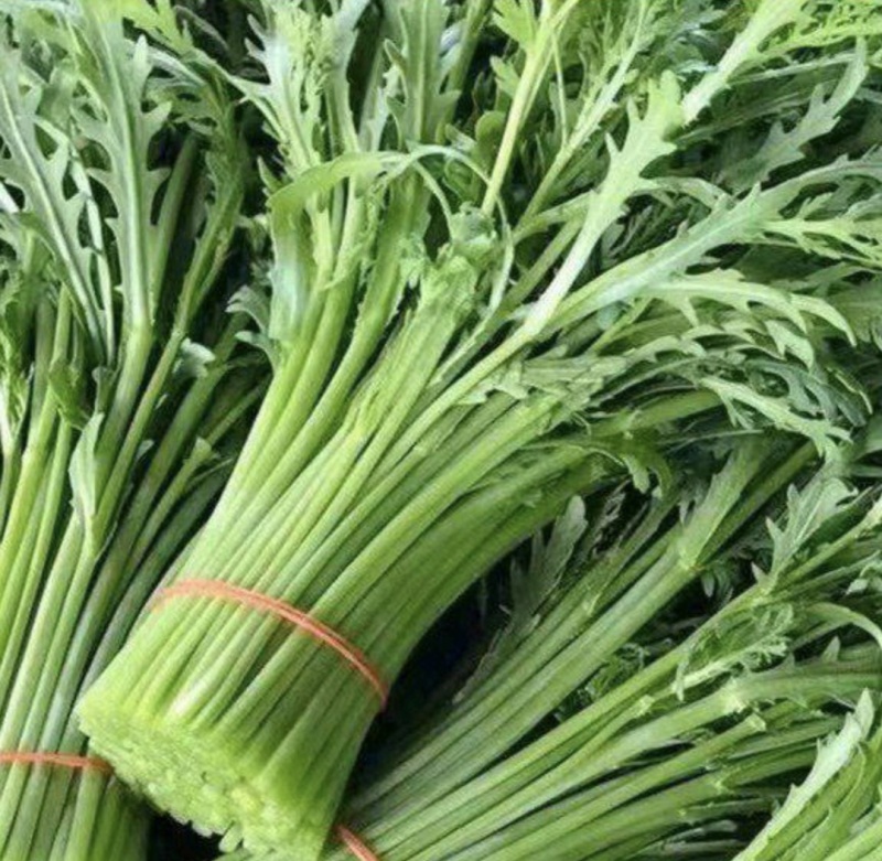 江苏淮安茼蒿蒿子秆小叶茼蒿货源充足供全国商超
