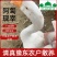 清真农家散养大鹅新鲜仔鹅老鹅老鸭现宰整只速冻河南大鹅多省