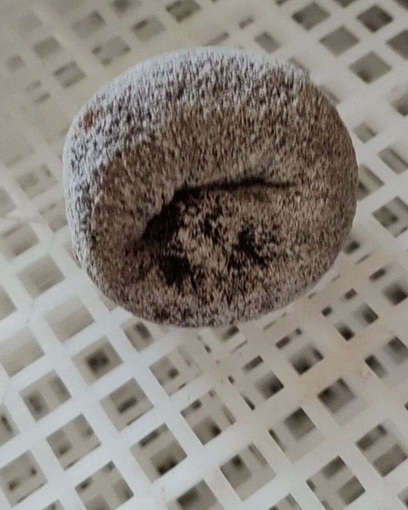 柿饼