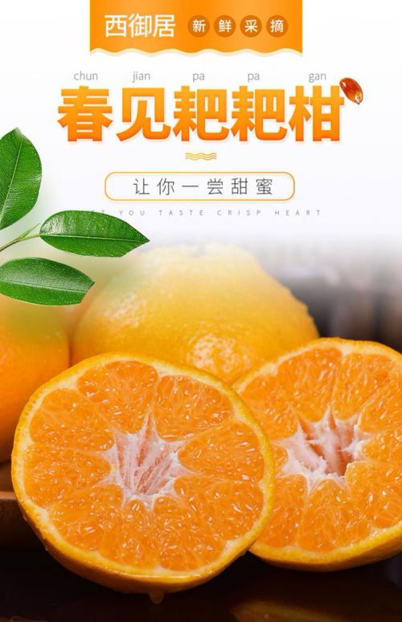 【电商直供】春见耙耙柑丑橘不知火专业代发多多美团