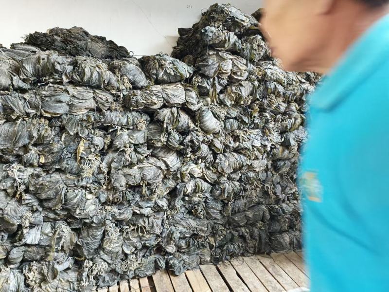 干海带海带干海带皮海带海带散菜海带丝基地直接发货